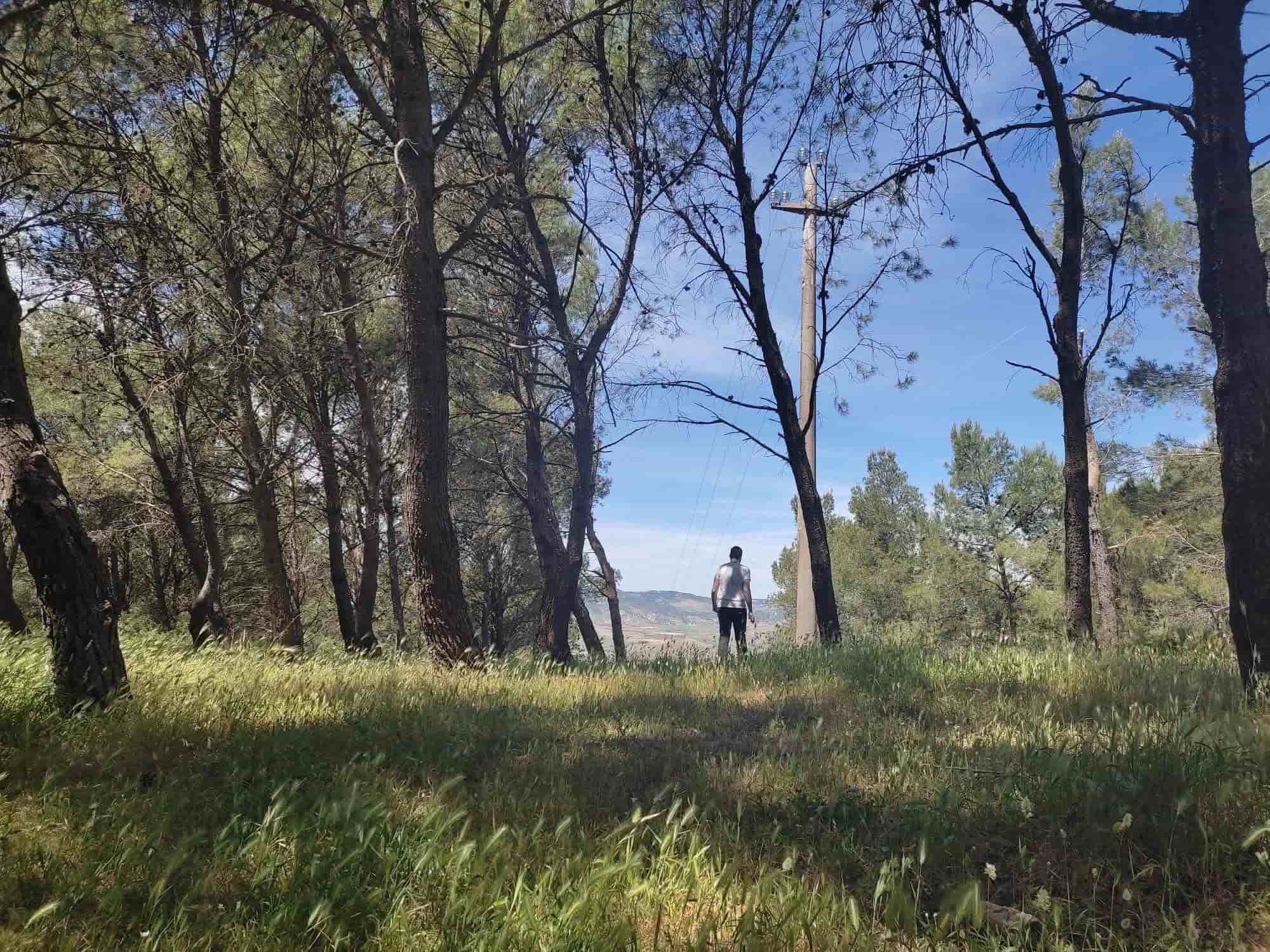 Lecce, Puglia - Beautiful baroque architecture